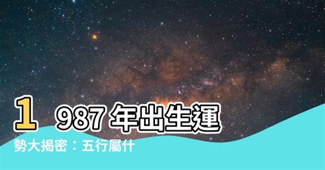 1987屬什麼|1987年出生是什麼年